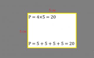 Как найти площадь и периметр прямоугольника?