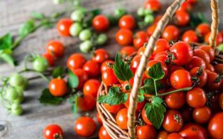Chutné recepty na zalizovanie po prstoch na nakladané cherry paradajky na zimu, so sterilizáciou alebo bez nej