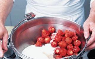 Hausmannskost Einkochen von Marmelade