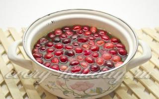 Cuajada de fresas de fresas congeladas Pastel con cuajada de frutos rojos