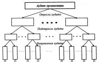 Stan rosyjskiego rynku usług audytorskich