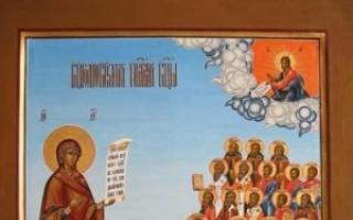Icon of the Mother of God “Bogolyubskaya God-loving icon of the Mother of God