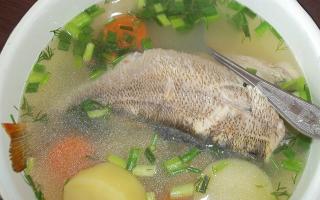 حساء السمك المهروس للأطفال حساء بولوك لطفل يبلغ من العمر عامين