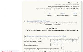 Notă explicativă la FSS din Rusia privind confirmarea activității principale a organizației Notă explicativă la eșantionul FSS