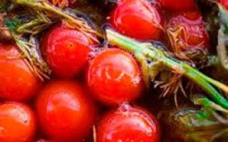 Receta të shijshme, që lëpin gishtat për domate turshi për dimër, me ose pa sterilizim