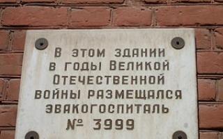 Akademija za nadarenu djecu (Nayanova)